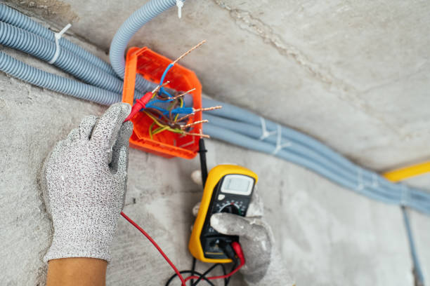 Best Electric Panel Repair  in Rose Hill, NC